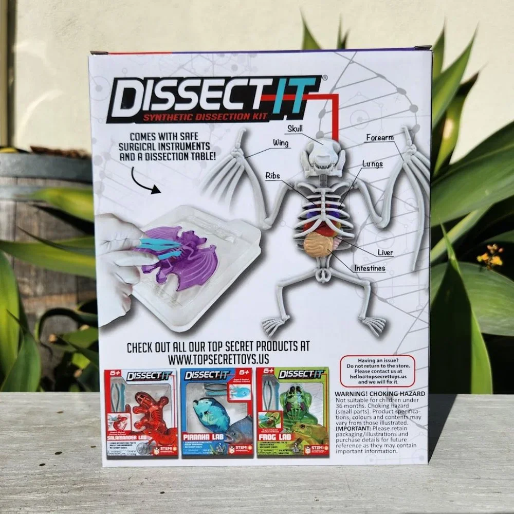 NEW Dissect-it Synthetic Lab Dissection Toy STEM KIT CRAFT Project Bat Biology